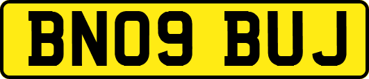BN09BUJ