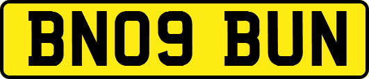 BN09BUN
