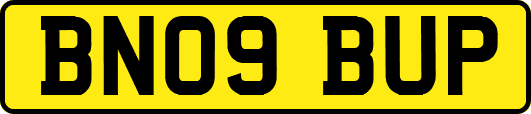 BN09BUP
