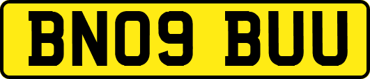 BN09BUU