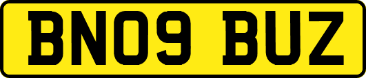 BN09BUZ