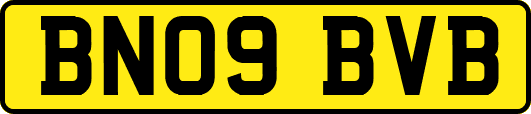 BN09BVB
