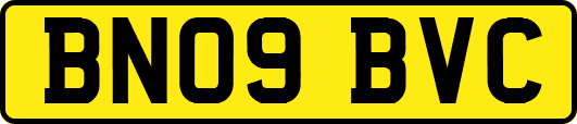 BN09BVC