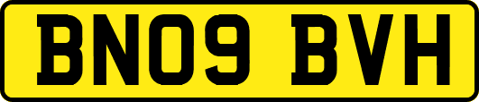 BN09BVH