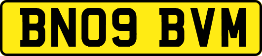 BN09BVM