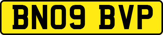 BN09BVP
