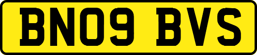 BN09BVS
