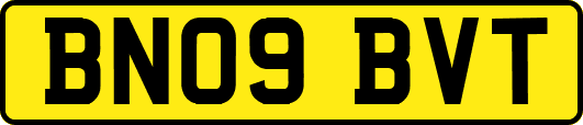 BN09BVT