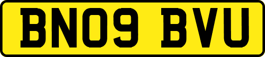 BN09BVU