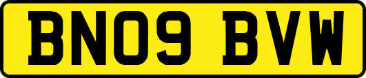 BN09BVW