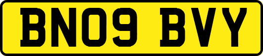 BN09BVY