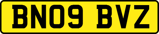 BN09BVZ