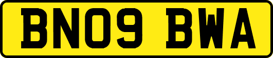 BN09BWA