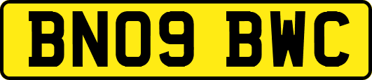 BN09BWC