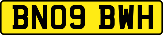 BN09BWH