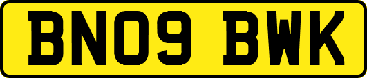 BN09BWK