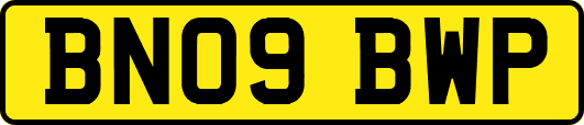 BN09BWP
