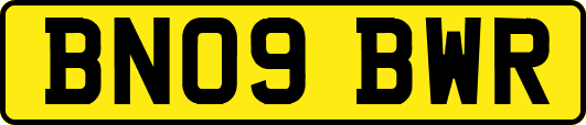 BN09BWR