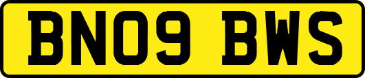BN09BWS