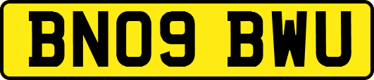 BN09BWU