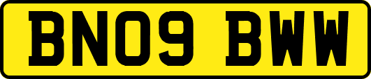 BN09BWW