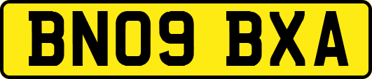 BN09BXA