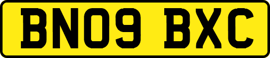 BN09BXC