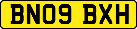 BN09BXH