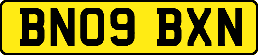 BN09BXN