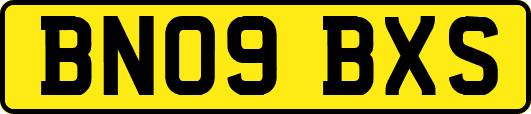 BN09BXS