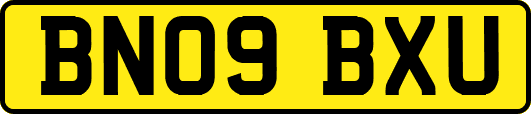 BN09BXU