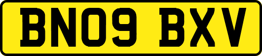 BN09BXV
