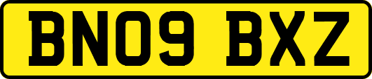 BN09BXZ