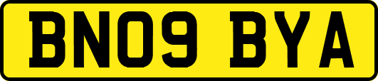 BN09BYA