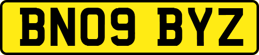 BN09BYZ