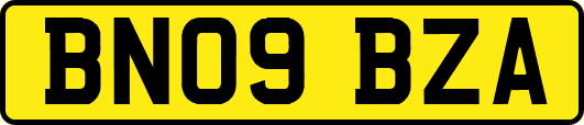 BN09BZA
