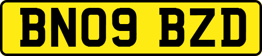 BN09BZD