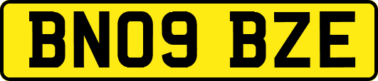 BN09BZE