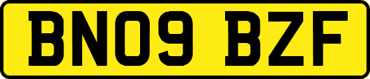BN09BZF