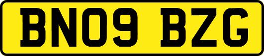 BN09BZG