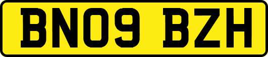 BN09BZH