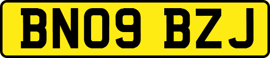 BN09BZJ