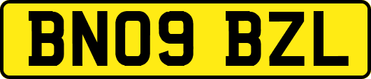 BN09BZL