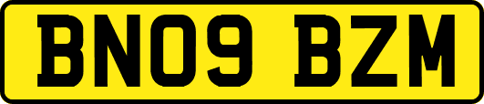 BN09BZM