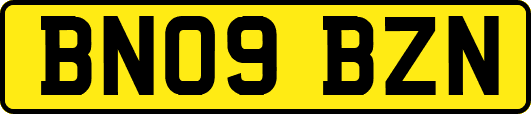 BN09BZN