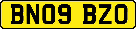BN09BZO