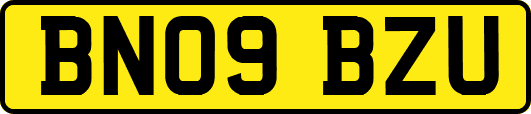BN09BZU