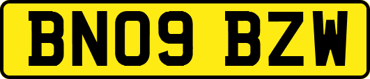 BN09BZW