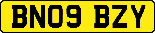 BN09BZY