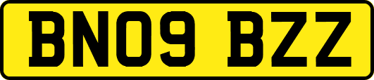 BN09BZZ